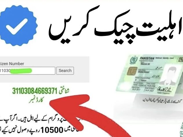 BISP Payment Check by 8171 Portal